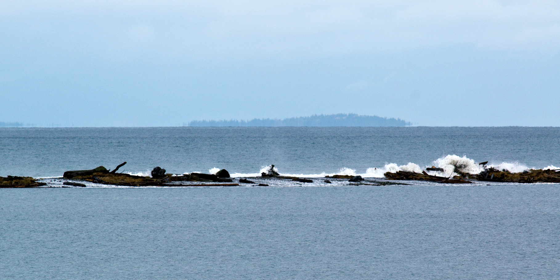 Dungeness Spit under water